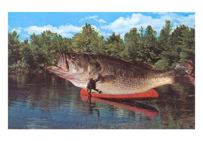 Oh, the giant Asian carp will take over your canoe. Don't think it wont