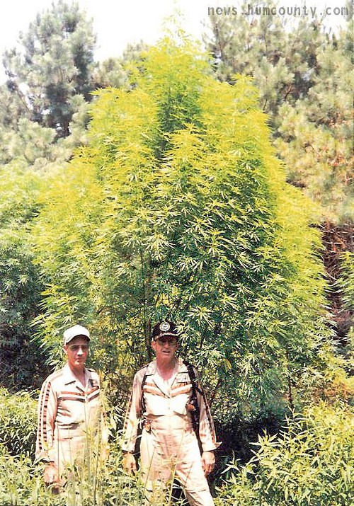 Wonder if they encountered any plants this big?