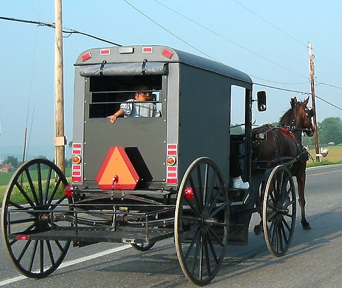 Just because theyre Amish doesnt mean they want to see your penis.