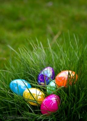 2301076-plastic-colorful-easter-eggs-in-grass.jpg