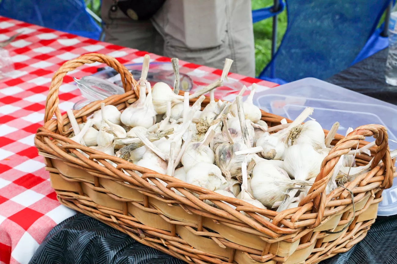Cleveland Garlic Festival Returns to Shaker Square August 29–30