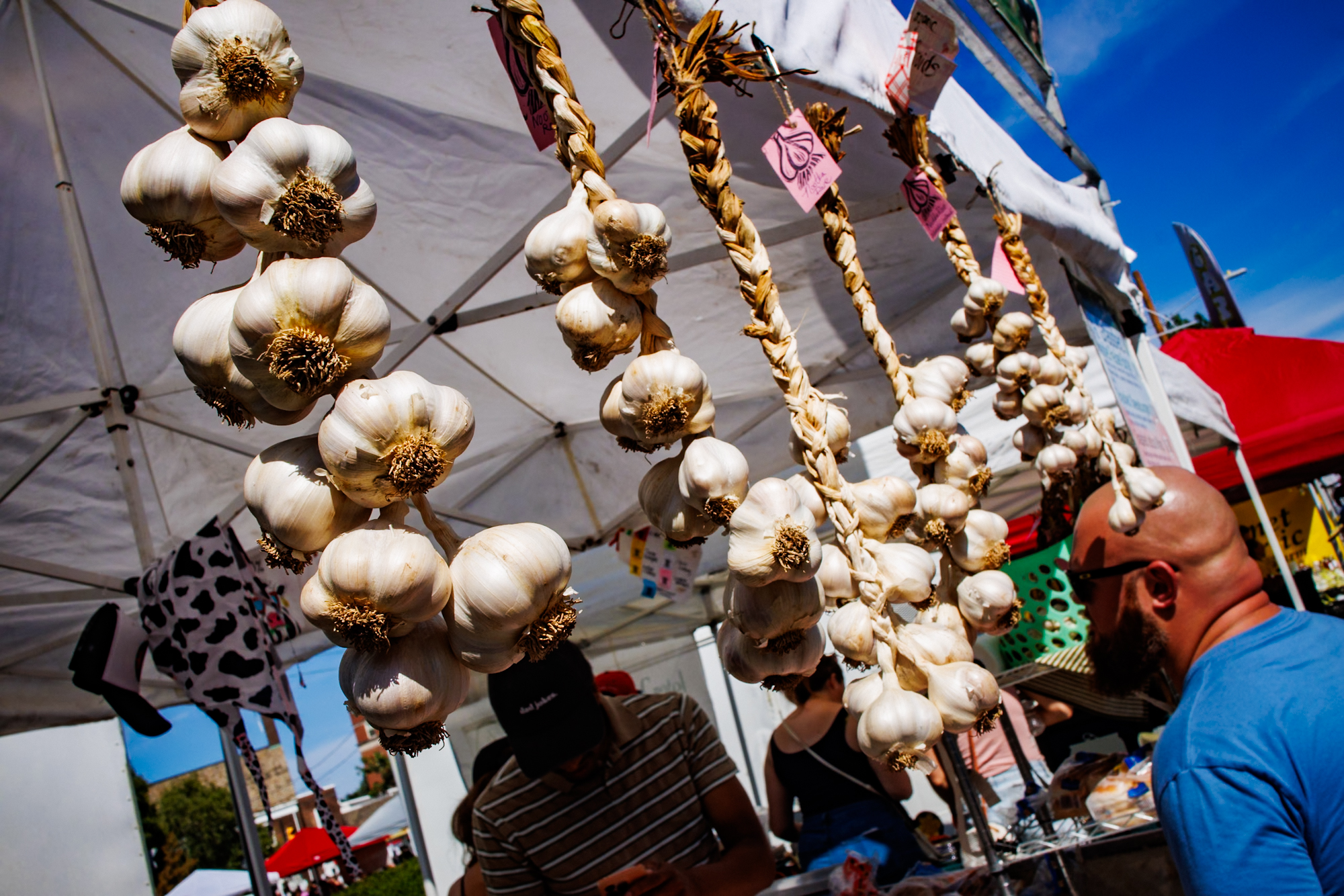 Photos From the 2026 Cleveland Garlic Festival at Shaker Square